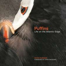 Morgans, K: Puffins