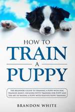 How to Train a Puppy