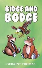 Bidge and Bodge