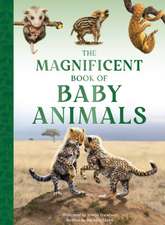 The Magnificent Book of Baby Animals