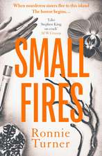 Small Fires