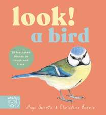Look! A Bird!