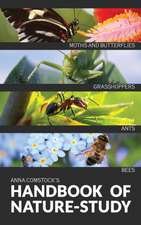 The Handbook Of Nature Study in Color - Insects