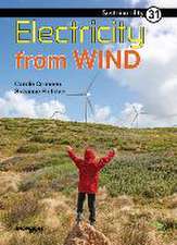 Electricity from Wind