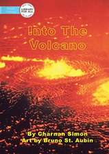 Into The Volcano