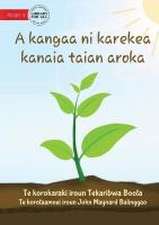 How Plants Make Food - A kangaa ni karekea kanaia taian aroka (Te Kiribati)