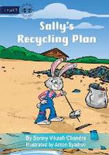 Sally's Recycling Plan