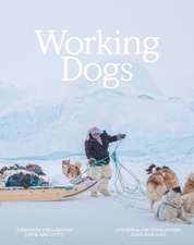 Working Dogs