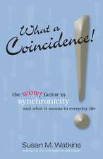 What a Coincidence!: The Wow! Factor in Synchronicity and What It Means in Everyday Life