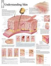 Understanding Skin Chart: Wall Chart