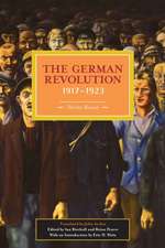 German Revolution, 1917-1923: Historical Materialism, Volume 5