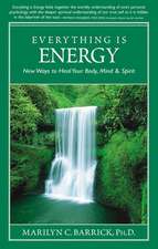 Everything Is Energy: New Ways to Heal Your Body, Mind and Spirit