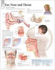 Ear, Nose & Throat Chart: Laminated Wall Chart