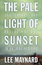 THE PALE LIGHT OF SUNSET: SCATTERSHOTS AND HALLUCINATIONS IN AN IMAGINED LIFE