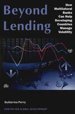 Beyond Lending: How Multilateral Banks Can Help Developing Countries Manage Volatility