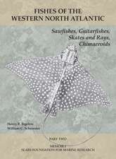 Sawfishes, Guitarfishes, Skates and Rays, Chimaeroids