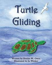 Turtle Gliding: Timeless Principles for Everyday Enlightenment