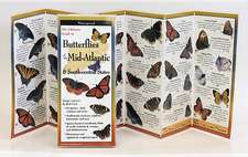 Butterflies of the Mid-Atlantic