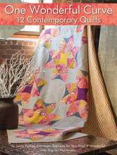 One Wonderful Curve 12 Contemporary Quilts