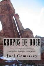 Grupos de Doce: Como Movilizar a Los Lideres y Multiplicar Los Grupos En Su Iglesia