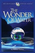 The Wonder of Water