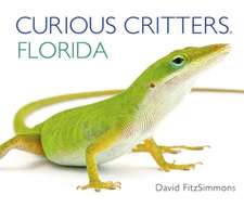 Curious Critters Florida