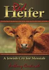 The Red Heifer: A Jewish Cry for Messiah