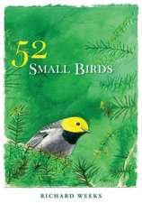 52 Small Birds: A Jenna MacKenzie Mystery