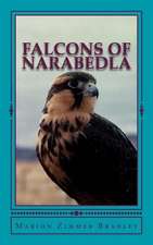 Falcons of Narabedla