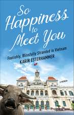 So Happiness to Meet You: Foolishly, Blissfully Stranded in Vietnam