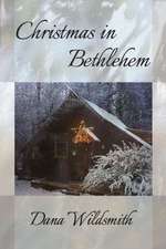 Christmas in Bethlehem: Selected Poems