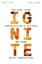 Ignite: Setting Your Organization's Culture on Fire with Innovation