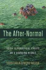 The After-Normal