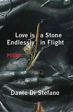 Love Is a Stone Endlessly in Flight