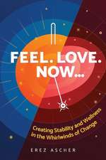 Feel. Love. Now...: Creating Stability and Wellness in the Whirlwinds of Change