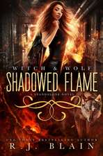 Shadowed Flame