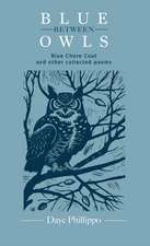 Blue Between Owls