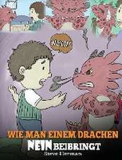 Herman, S: Wie man einem Drachen NEIN beibringt