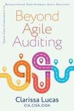 Beyond Agile Auditing