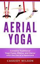 Aerial Yoga