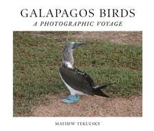 GALAPAGOS BIRDS