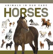 Horses