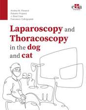 Laparoscopy and Thoracoscopy (C) / Pievaroli