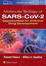 Molecular Biology of SARS-CoV-2: Opportunities for Antivirus Drug Development