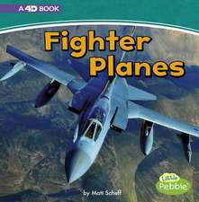 Scheff, M: Fighter Planes