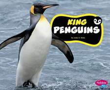 King Penguins