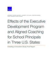 EFFECTS OF THE EXECUTIVE DEVELPB