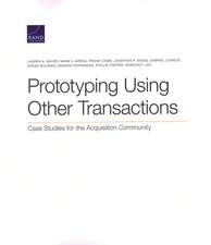 Mayer, L: Prototyping Using Other Transactions