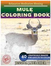 Mule Coloring Books