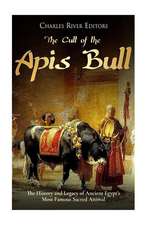 The Cult of the APIs Bull